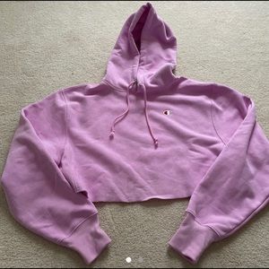 Champion Reverse Weave Hoodie Cropped Sweater